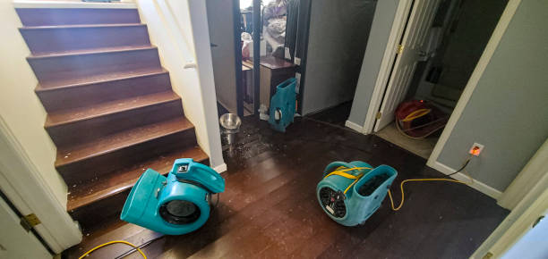 Best Commercial water damage restoration  in Pinehurst, TX