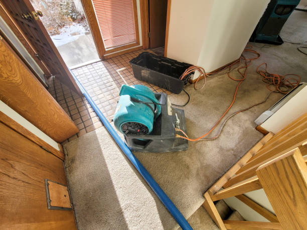 Best Local water damage restoration  in Pinehurst, TX