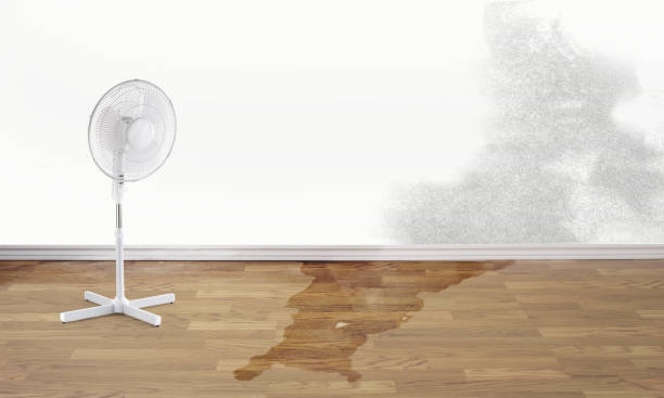 Best Sewage cleanup and water damage restoration  in Pinehurst, TX