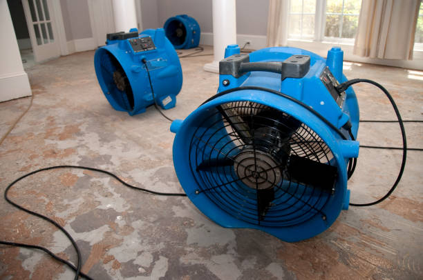 Best Mold removal after water damage  in Pinehurst, TX