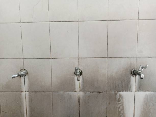 Best Fire Damage Restoration  in Pinehurst, TX