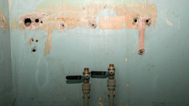 Best Water damage restoration company  in Pinehurst, TX