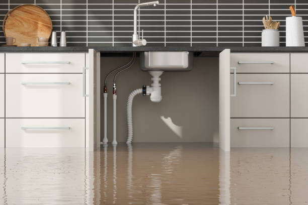Best Flood restoration services  in Pinehurst, TX