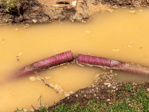 Best Emergency water damage restoration  in Pinehurst, TX